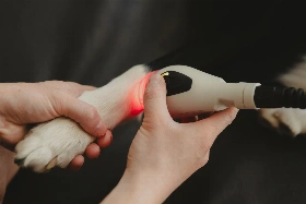 Terapeutický laser