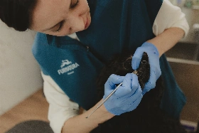 Dentalni hygiena