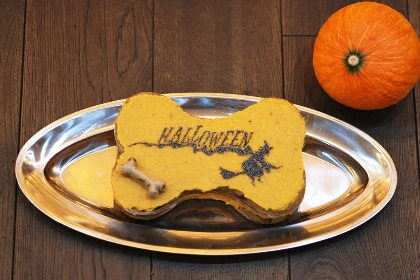 Halloween v Dogtownu