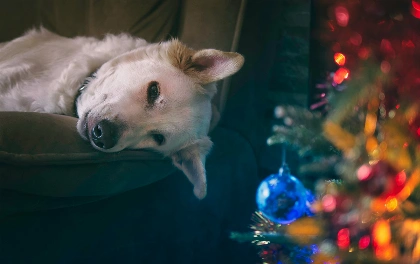 Jak zvládnout Silvestr