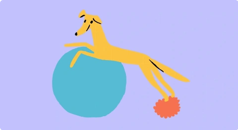 Fyzioterapie