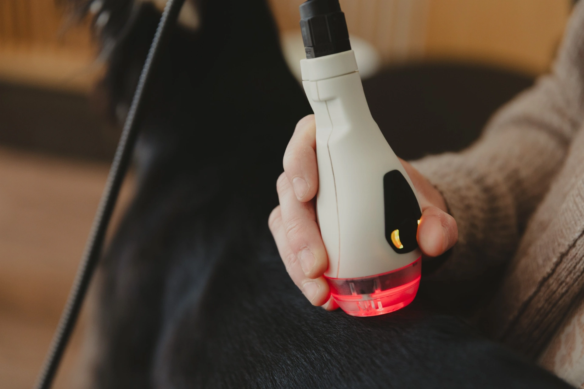 MLS® terapeutický laser