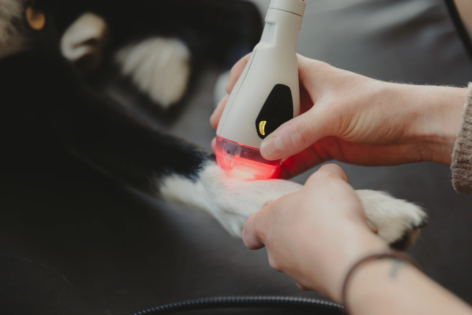 MLS® terapeutický laser