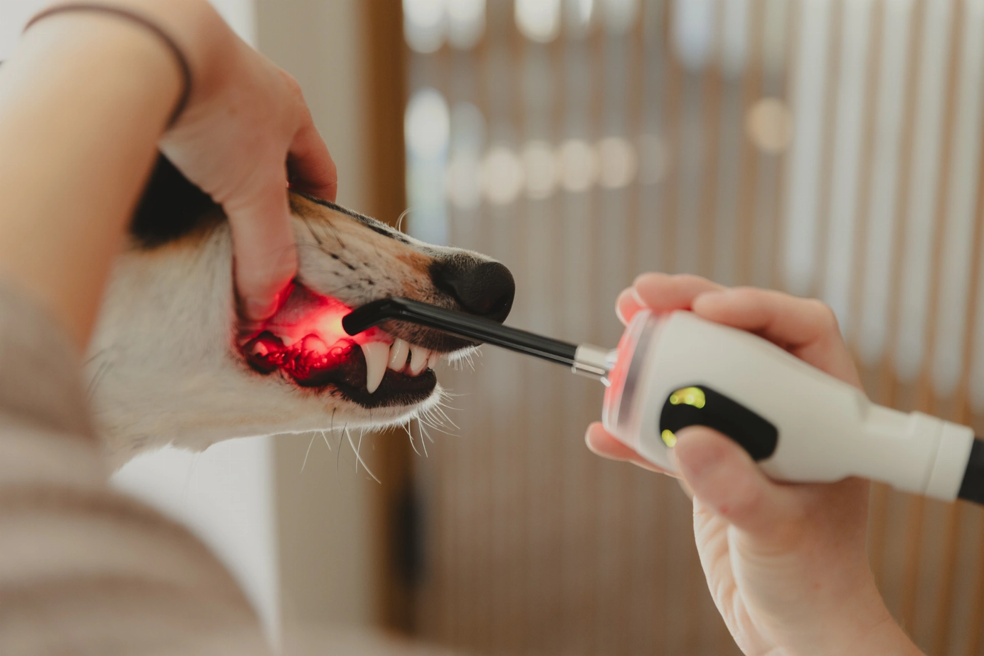 MLS® terapeutický laser