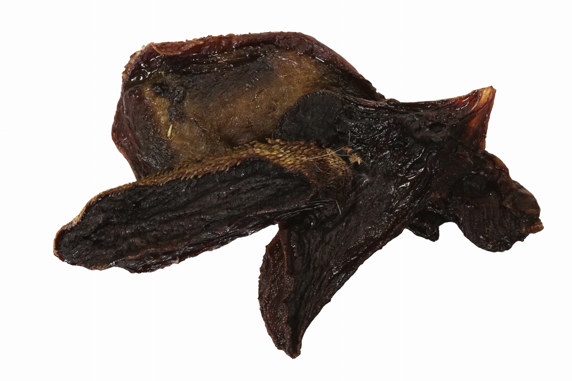 Vepřový jazyk