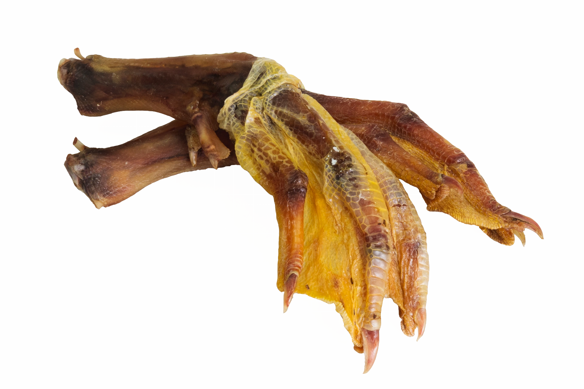 Kachní běhák