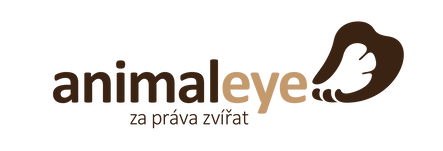 http://www.animaleye.cz/