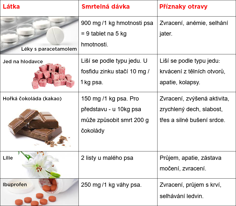 Jak rychle otrávit psa?